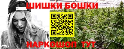 jwh Будённовск