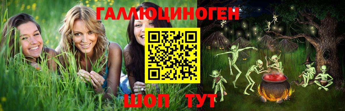 Псилоцибиновые грибы Psilocybine cubensis Улан-Удэ
