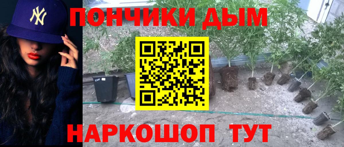 Марихуана Ganja  МАРИХУАНА THC 21%  Канабис Bruce Banner  Вход с VPN  Улан-Удэ 